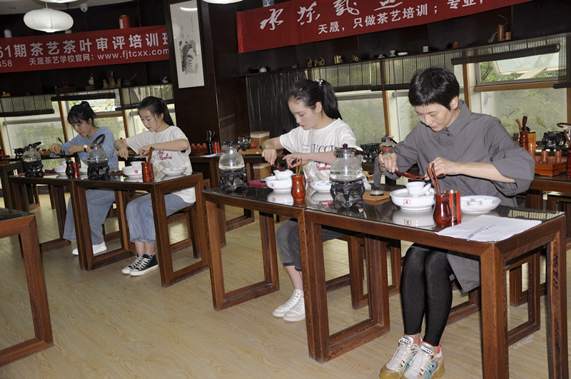 茶艺师培训心得:十天全流程